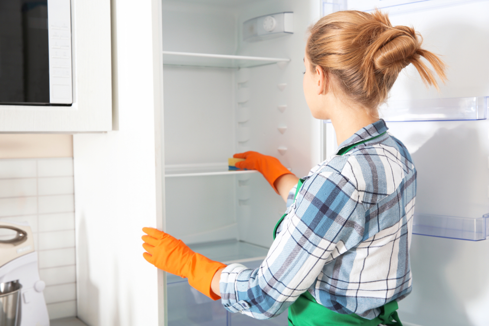 Hladilnik je treba približno dvakrat na leto temeljito očistiti. 